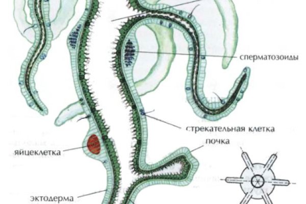 Войти в кракен вход магазин