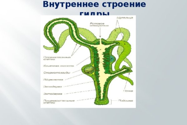 Кракен даркмаркет плейс